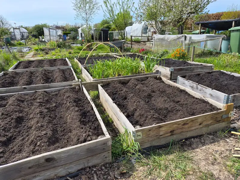 Een moestuin van VTV Daalhof