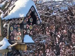 Winterland 07